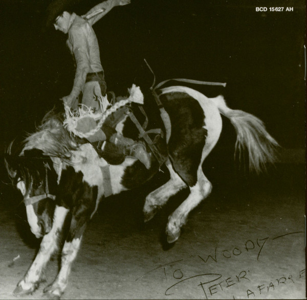 Songs Of The Cowboys - Iron Mountain And Other Songs (CD)