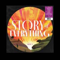Aperçu: Story Of Everything (LP, Picture Disc) Aperçu: Story Of Everything (LP, Picture Disc)