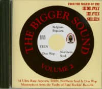 Aperçu: The Bigger Sound Vol.2 Aperçu: The Bigger Sound Vol.2