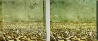Aperçu: Beautiful Disaster Aperçu: Beautiful Disaster