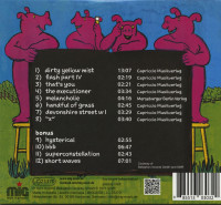 Aperçu: My Solid Ground (CD) Aperçu: My Solid Ground (CD)