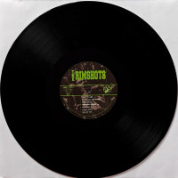 Aperçu: The Rimshots - Hot Swingin' Hillbilly Bop (2-LP, Ltd.) Aperçu: The Rimshots - Hot Swingin' Hillbilly Bop (2-LP, Ltd.)