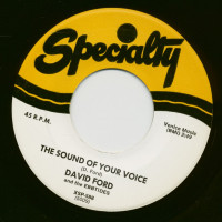 Aperçu: The Sound Of Your Voice - My Confession (7inch, 45rpm) Aperçu: The Sound Of Your Voice - My Confession (7inch, 45rpm)