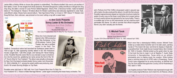 The World Is Pink - 30 Traces Of Pink (CD)