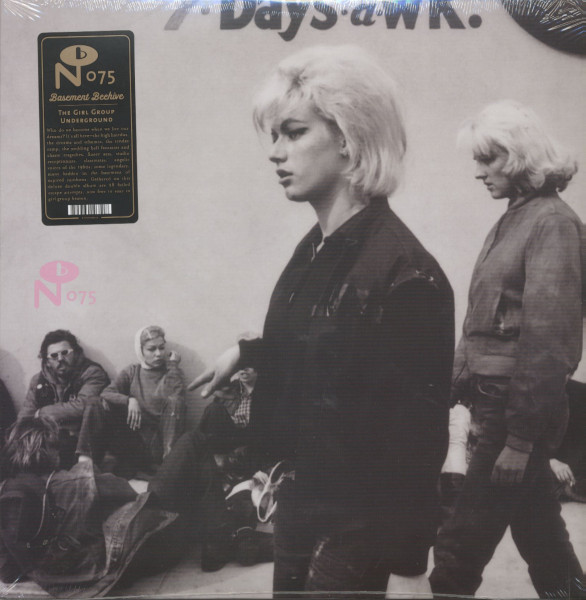 Basement Beehive - The Girl Group Underground (2-LP) Basement Beehive - The Girl Group Underground (2-LP)