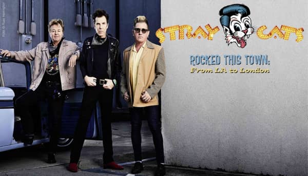 Rocked This Town (CD) Rocked This Town (CD)
