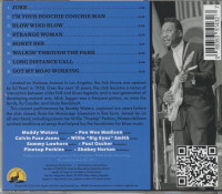 Aperçu: Hollywood Blues Summit - Live At The Ash Grove July 30, 1971 (CD) Aperçu: Hollywood Blues Summit - Live At The Ash Grove July 30, 1971 (CD)