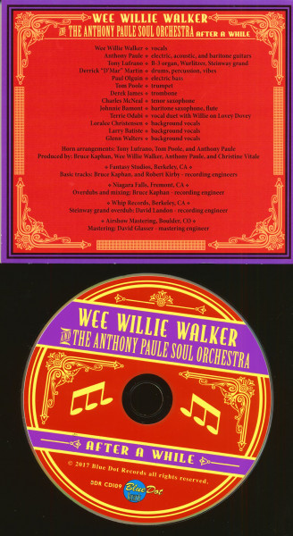 And The Anthony Paule Soul Orchestra - After A While (CD)