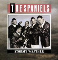 Aperçu: Stormy Weather (LP) Aperçu: Stormy Weather (LP)