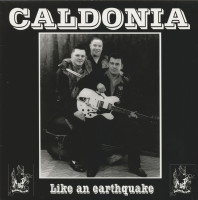 Aperçu: Like An Earthquake (LP) Aperçu: Like An Earthquake (LP)