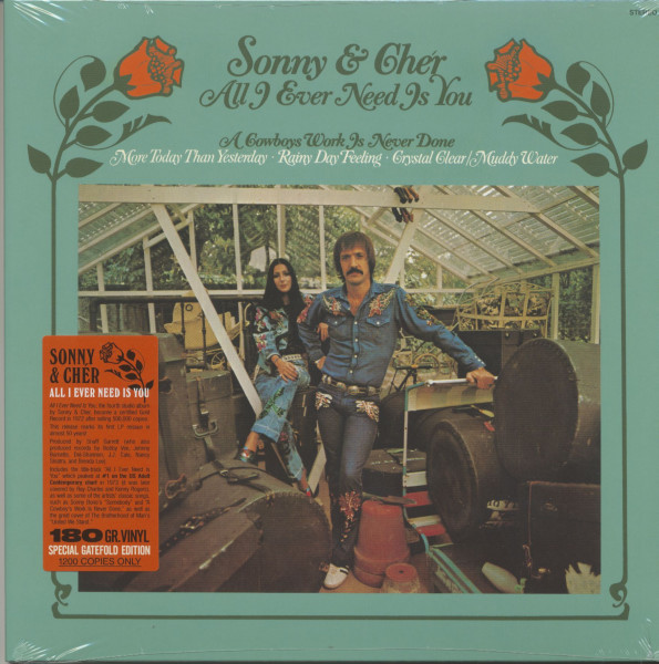 All I Ever Need Is You (LP, 180g Vinyl, Ltd.) All I Ever Need Is You (LP, 180g Vinyl, Ltd.)