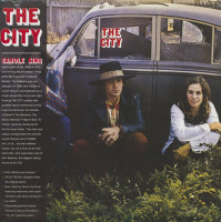 Aperçu: Now That Everything's Been Said (LP, 180g Vinyl) Aperçu: Now That Everything's Been Said (LP, 180g Vinyl)