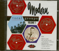 Aperçu: Modern Vocal Groups Aperçu: Modern Vocal Groups