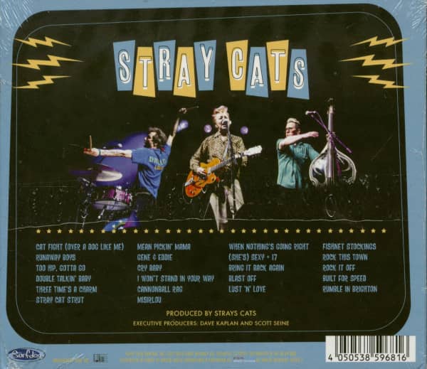 Rocked This Town (CD)