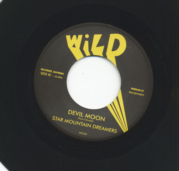 Are Trail Burning (double 7inch, 45rpm)