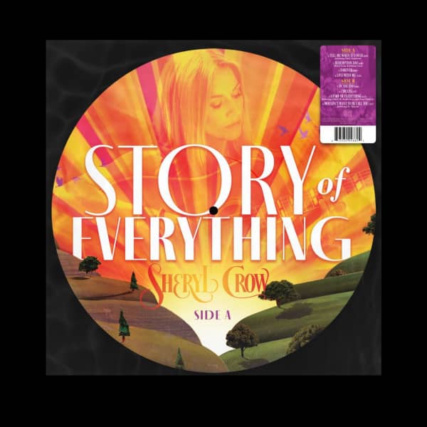 Story Of Everything (LP, Picture Disc) Story Of Everything (LP, Picture Disc)