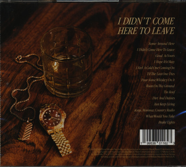 I Didn't Come Here To Leave (CD)