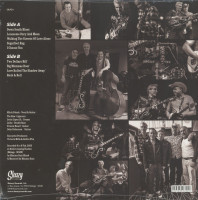 Aperçu: Down South Blues (LP) Aperçu: Down South Blues (LP)