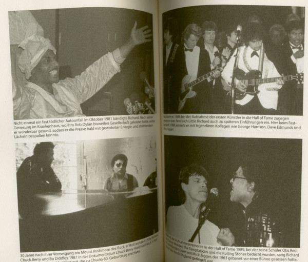 Das grossartige Leben des Little Richard - Mark Ribowsky