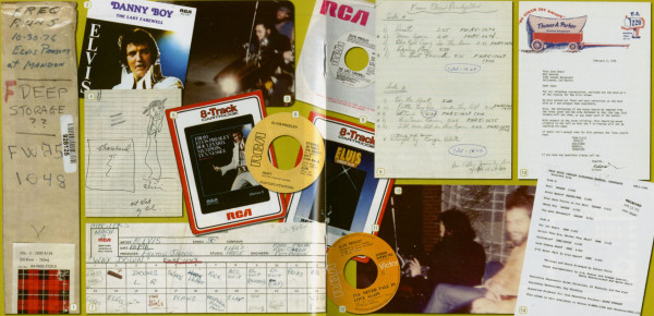 Way Down In The Jungle Room (2-CD)