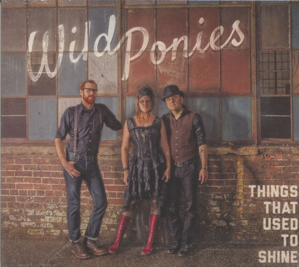 Things That Used To Shine (CD) Things That Used To Shine (CD)