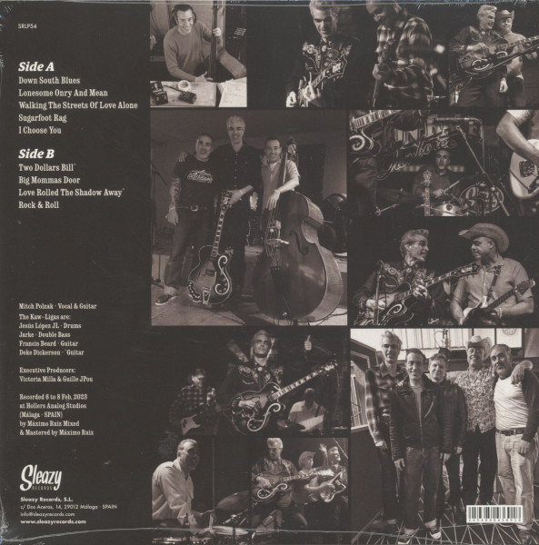 Down South Blues (LP)