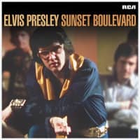 Aperçu: Sunset Boulevard (2-LP) Aperçu: Sunset Boulevard (2-LP)