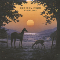 Aperçu: Memory Lane (LP) Aperçu: Memory Lane (LP)