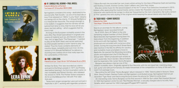 Springsteen's Country (CD)