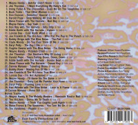 Aperçu: Vol.33 - Rockabilly And Rock 'n' Roll From The Vaults Of Renown & Hornet Records (CD) Aperçu: Vol.33 - Rockabilly And Rock 'n' Roll From The Vaults Of Renown & Hornet Records (CD)