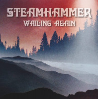 Aperçu: Wailing Again (LP) Aperçu: Wailing Again (LP)