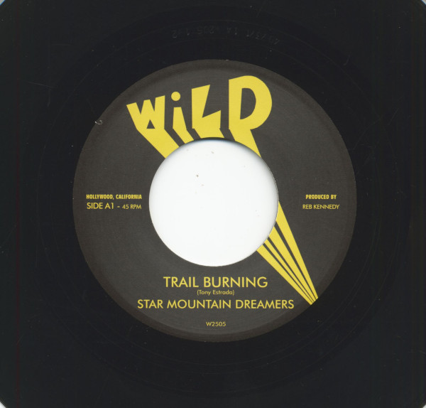 Are Trail Burning (double 7inch, 45rpm)