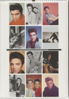 Aperçu: Elvis - Official 1993 Culture Shock Calendar Aperçu: Elvis - Official 1993 Culture Shock Calendar