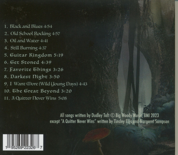 Guitar Kingdom (CD)