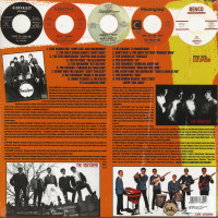 Aperçu: Teenage Shutdown Vol.1 - Jump, Jive & Harmonize! (LP) Aperçu: Teenage Shutdown Vol.1 - Jump, Jive & Harmonize! (LP)