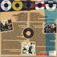 Aperçu: Teenage Shutdown Vol.9 - Teen Jangler Blowout! (LP) Aperçu: Teenage Shutdown Vol.9 - Teen Jangler Blowout! (LP)