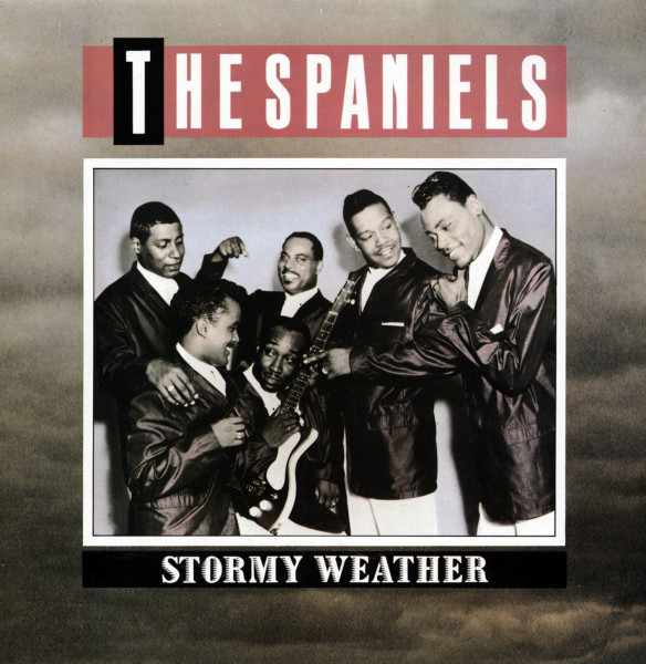Stormy Weather (LP)
