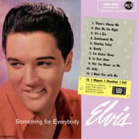Aperçu: Somemething For Everybody (LP, Pink Liquid Filled Vinyl, Ltd.) Aperçu: Somemething For Everybody (LP, Pink Liquid Filled Vinyl, Ltd.)