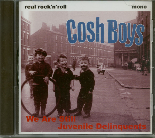 We Are Still Juvenile Deliquents (CD)