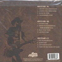 Aperçu: Backside Of 30 (2-LP, colored Vinyl) Aperçu: Backside Of 30 (2-LP, colored Vinyl)