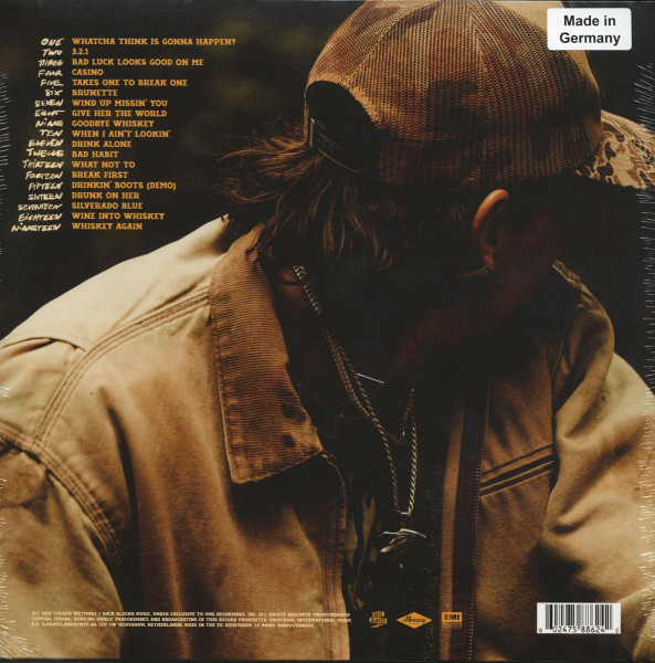 What Not To (2-LP)