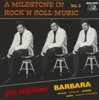 Aperçu: A Milestone In Rock'N Roll Music Vol.2 (LP) Aperçu: A Milestone In Rock'N Roll Music Vol.2 (LP)