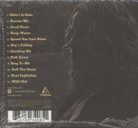 Aperçu: Didn't it Rain (CD) Aperçu: Didn't it Rain (CD)