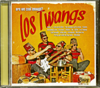 Aperçu: Are We Cool Enough? (2013) Aperçu: Are We Cool Enough? (2013)