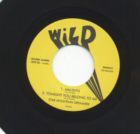 Aperçu: Are Trail Burning (double 7inch, 45rpm) Aperçu: Are Trail Burning (double 7inch, 45rpm)