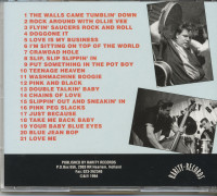 Aperçu: The Walls Came Tumblin' Down (CD) Aperçu: The Walls Came Tumblin' Down (CD)