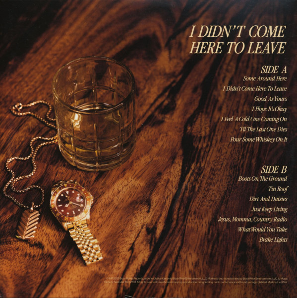 I Didn't Come Here To Leave (LP, colored Vinyl)