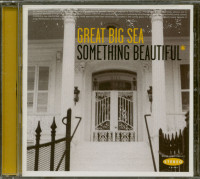 Aperçu: Something Beautiful (CD) Aperçu: Something Beautiful (CD)