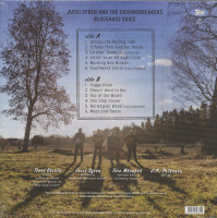 Aperçu: Bluegrass Voice (LP) Aperçu: Bluegrass Voice (LP)