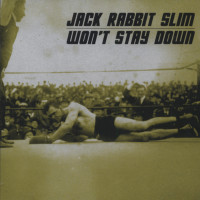 Aperçu: Won't Stay Down (CD) Aperçu: Won't Stay Down (CD)